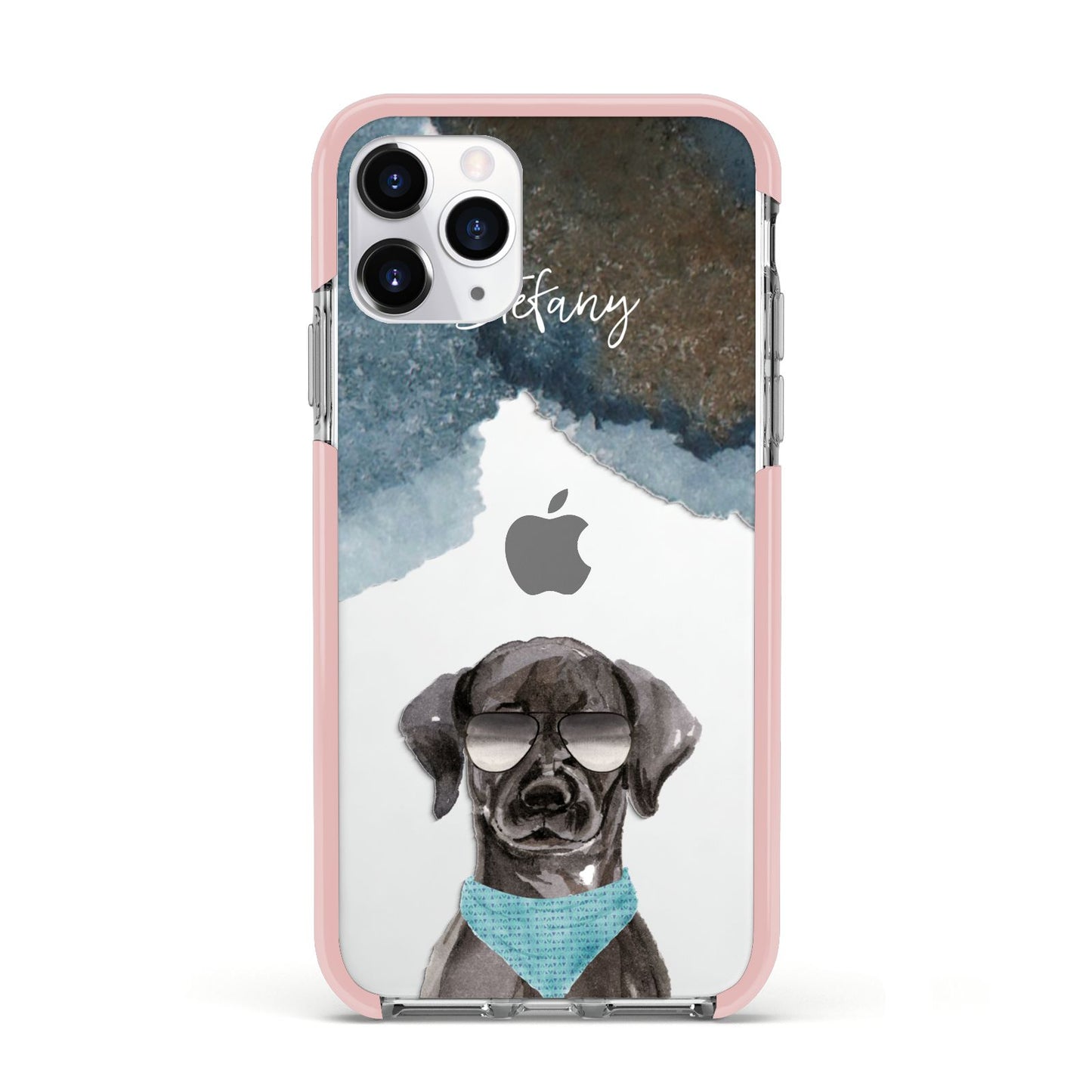 Personalised Black Labrador Apple iPhone 11 Pro in Silver with Pink Impact Case