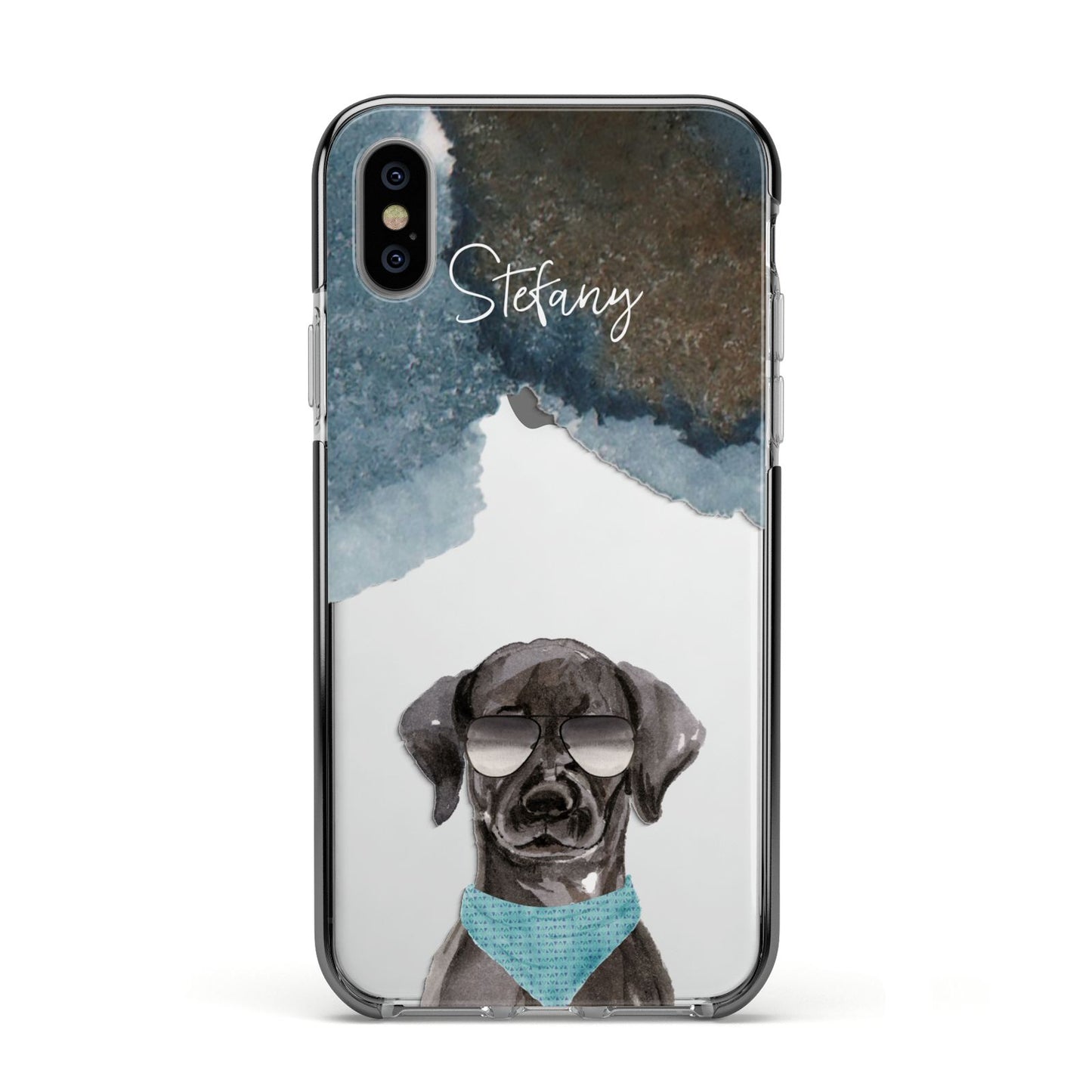 Personalised Black Labrador Apple iPhone Xs Impact Case Black Edge on Silver Phone