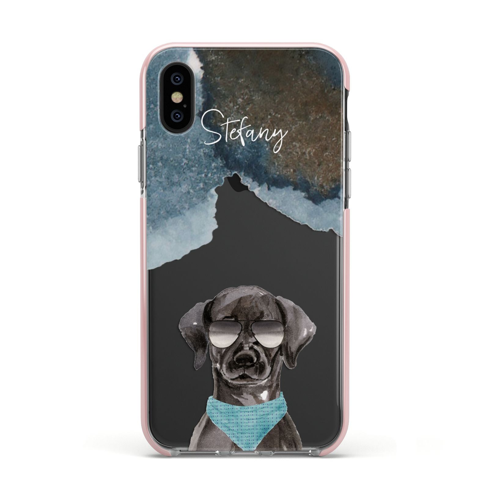 Personalised Black Labrador Apple iPhone Xs Impact Case Pink Edge on Black Phone