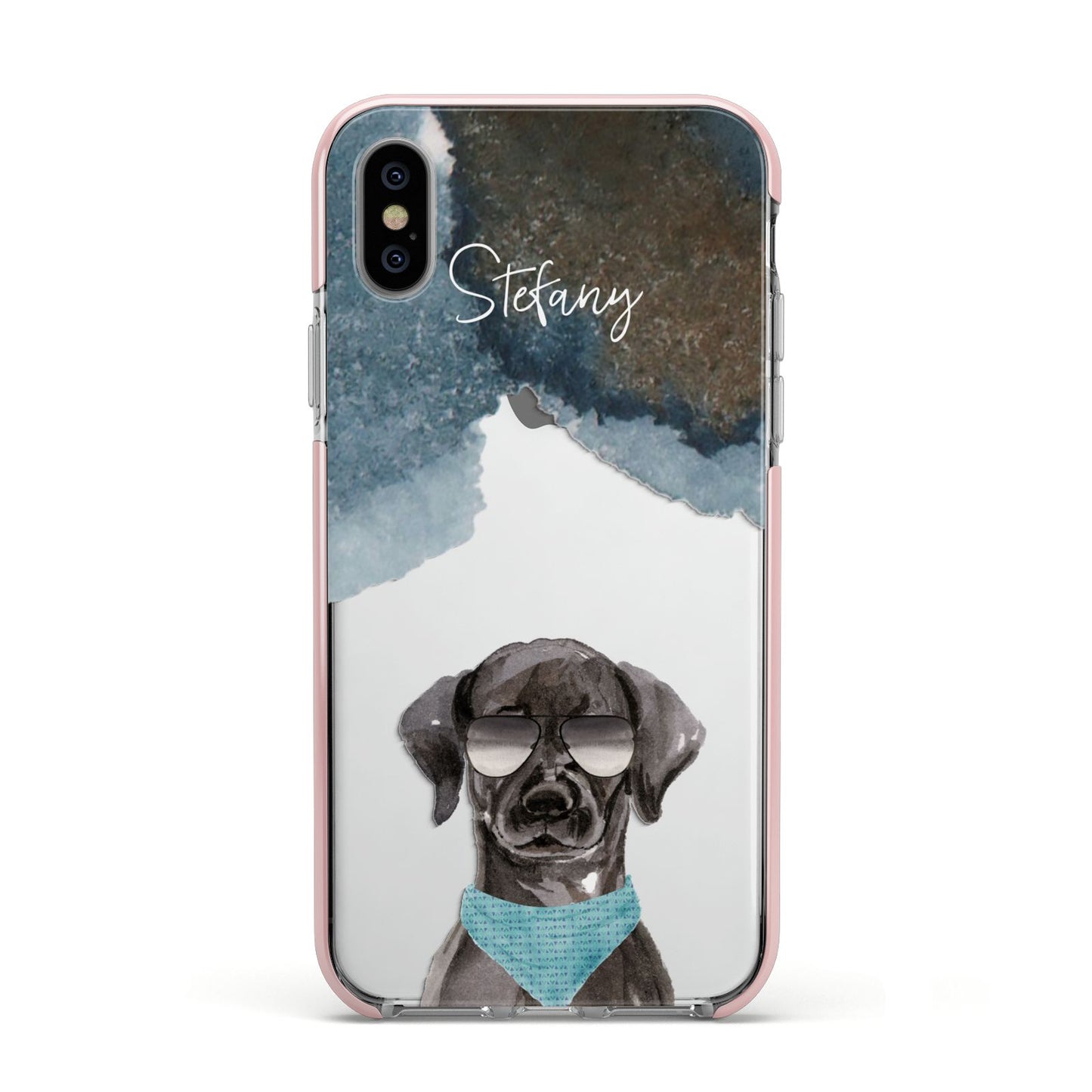 Personalised Black Labrador Apple iPhone Xs Impact Case Pink Edge on Silver Phone