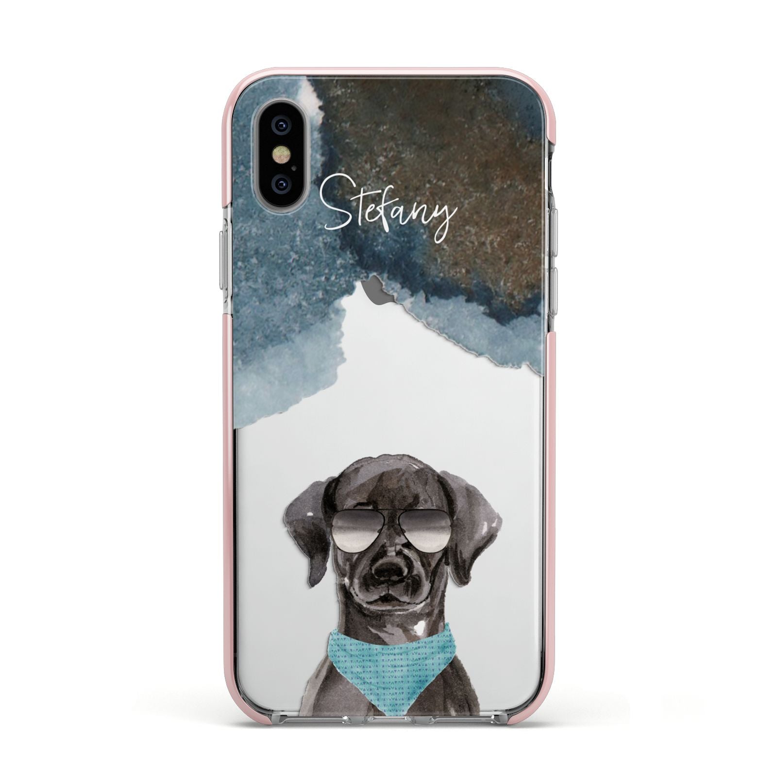 Personalised Black Labrador Apple iPhone Xs Impact Case Pink Edge on Silver Phone