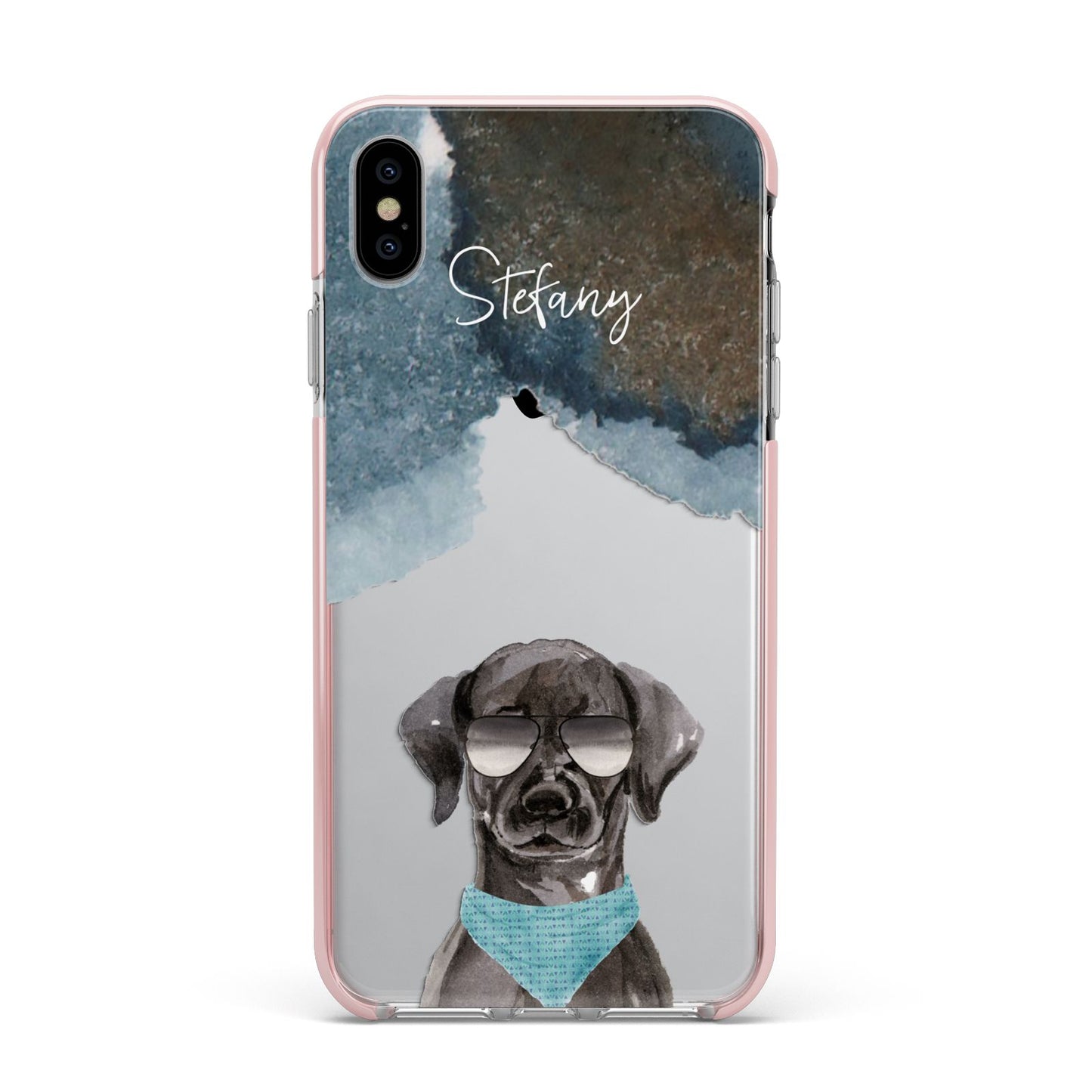 Personalised Black Labrador Apple iPhone Xs Max Impact Case Pink Edge on Silver Phone