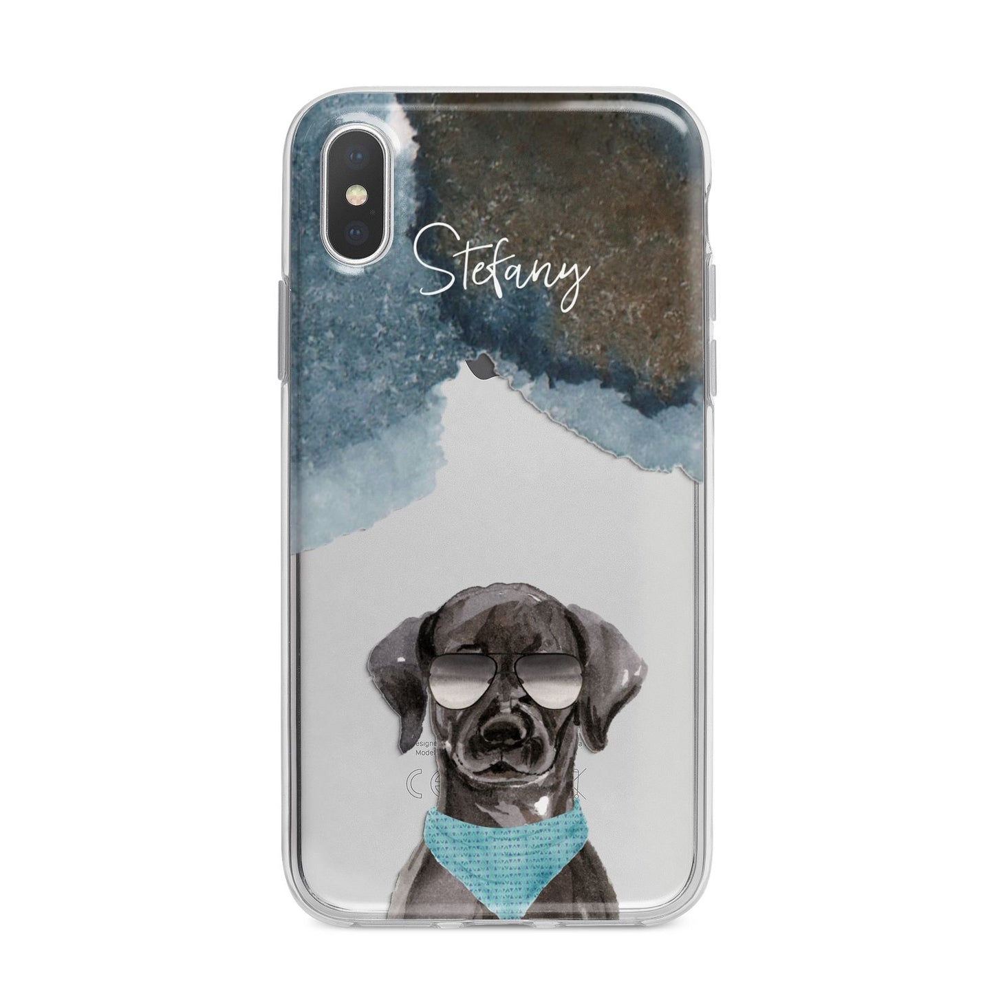 Personalised Black Labrador iPhone X Bumper Case on Silver iPhone Alternative Image 1