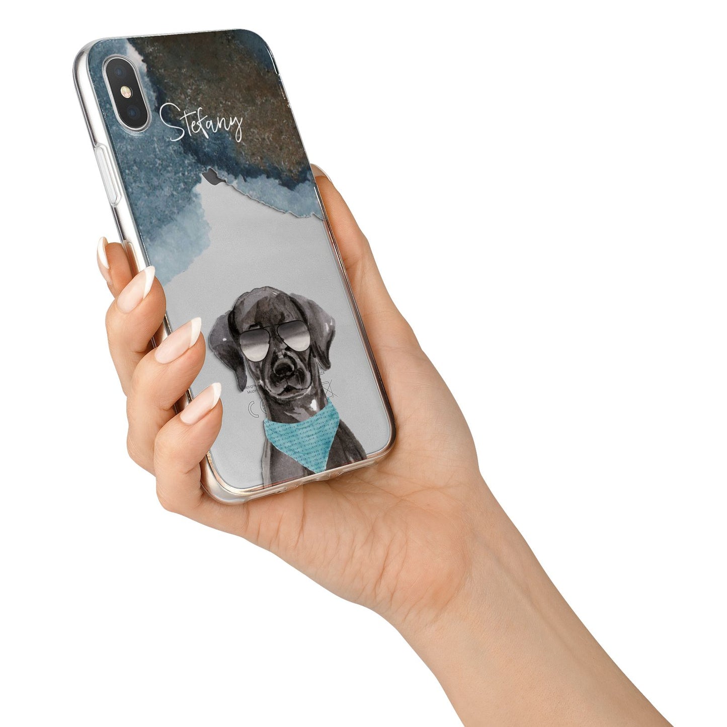 Personalised Black Labrador iPhone X Bumper Case on Silver iPhone Alternative Image 2