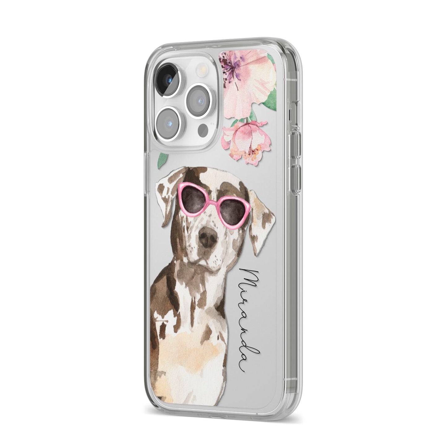 Personalised Catahoula Leopard Dog iPhone 14 Pro Max Clear Tough Case Silver Angled Image