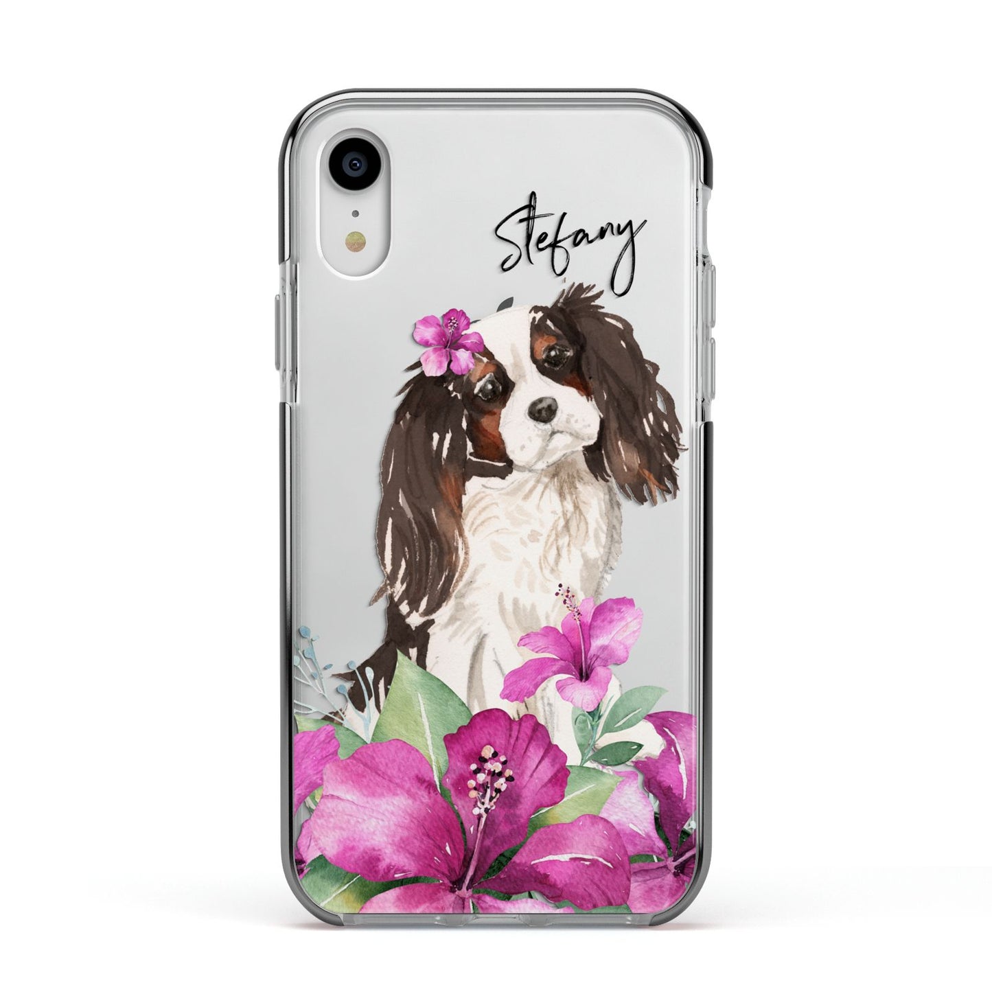 Personalised Cavalier King Charles Spaniel Apple iPhone XR Impact Case Black Edge on Silver Phone