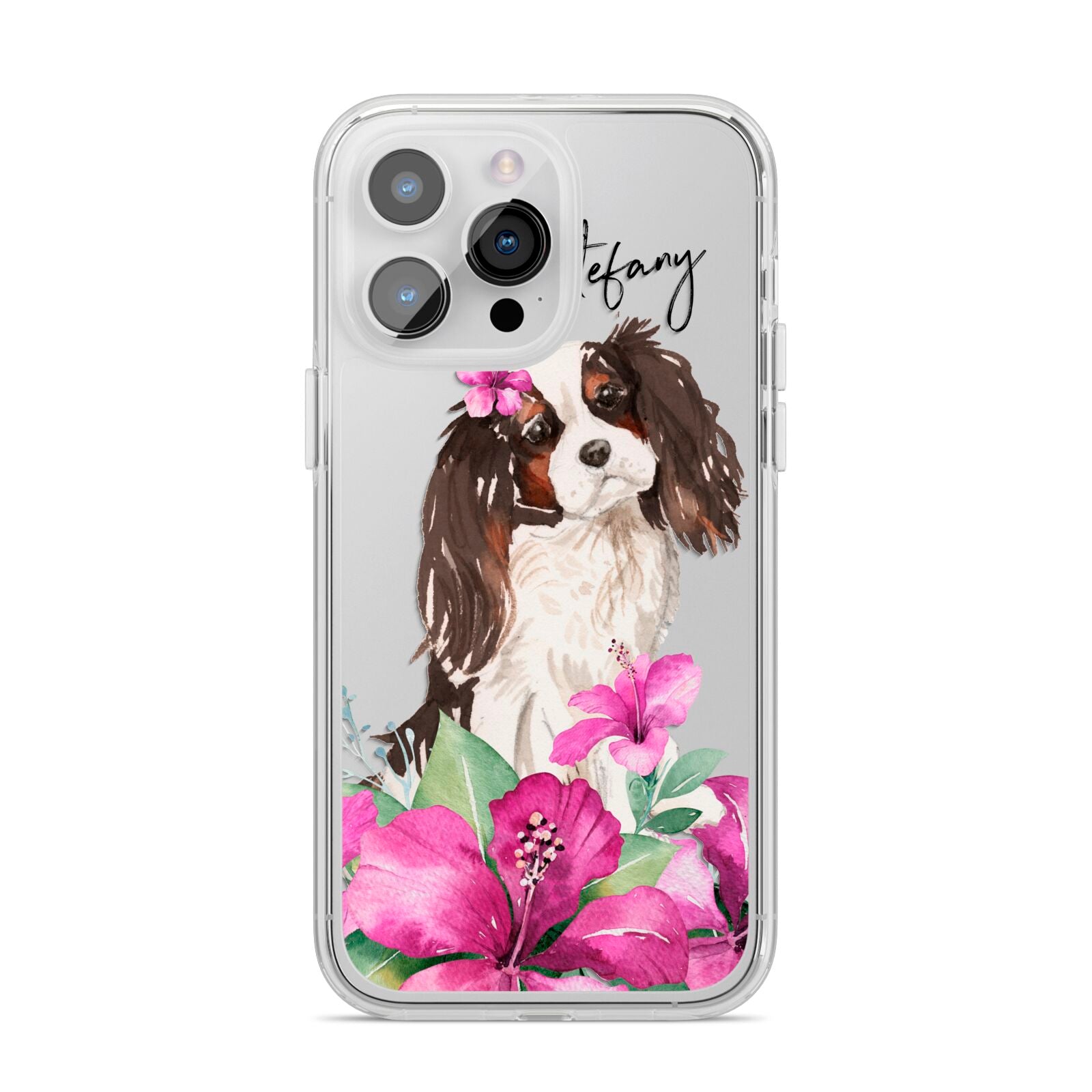 Personalised Cavalier King Charles Spaniel iPhone 14 Pro Max Clear Tough Case Silver