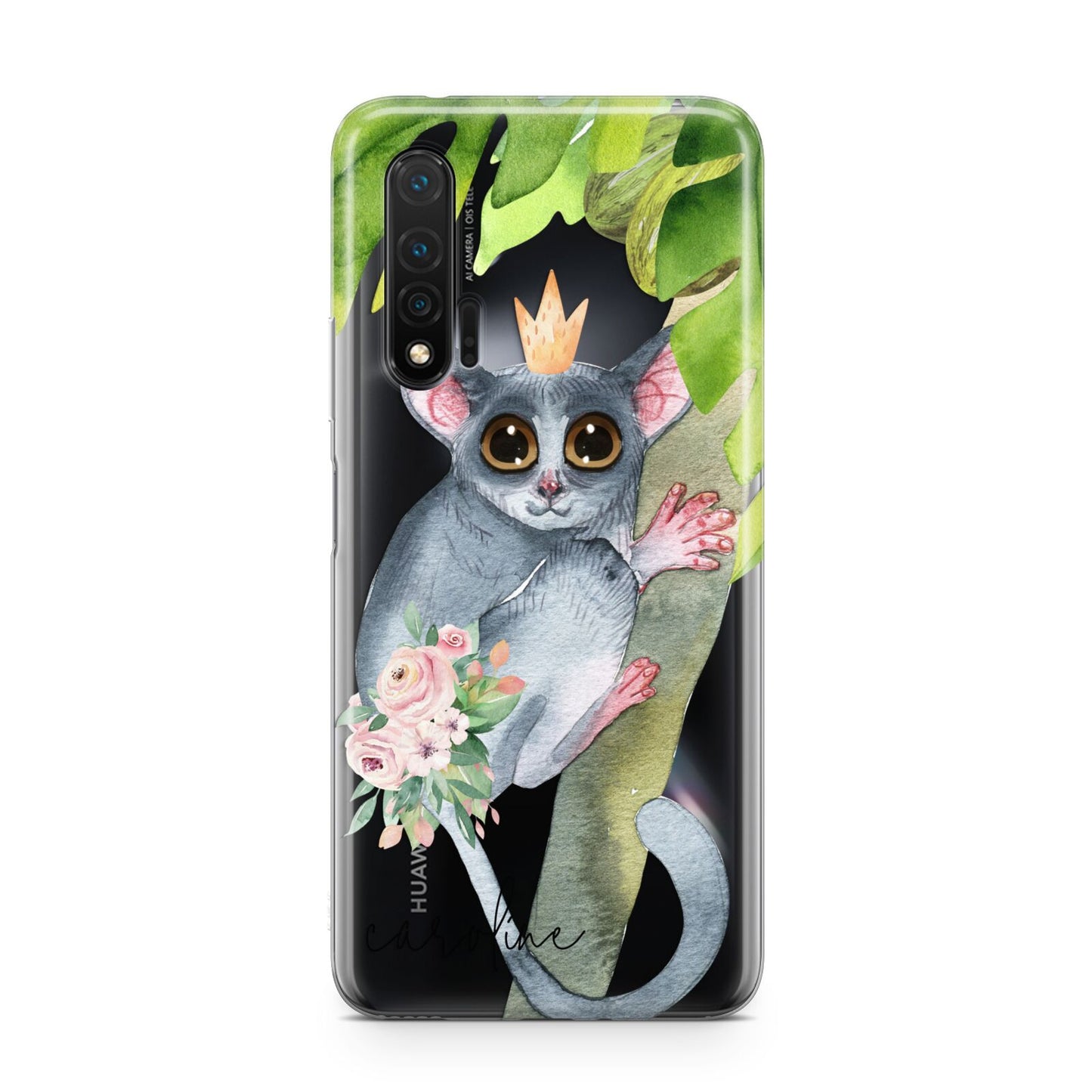 Personalised Galago Huawei Nova 6 Phone Case