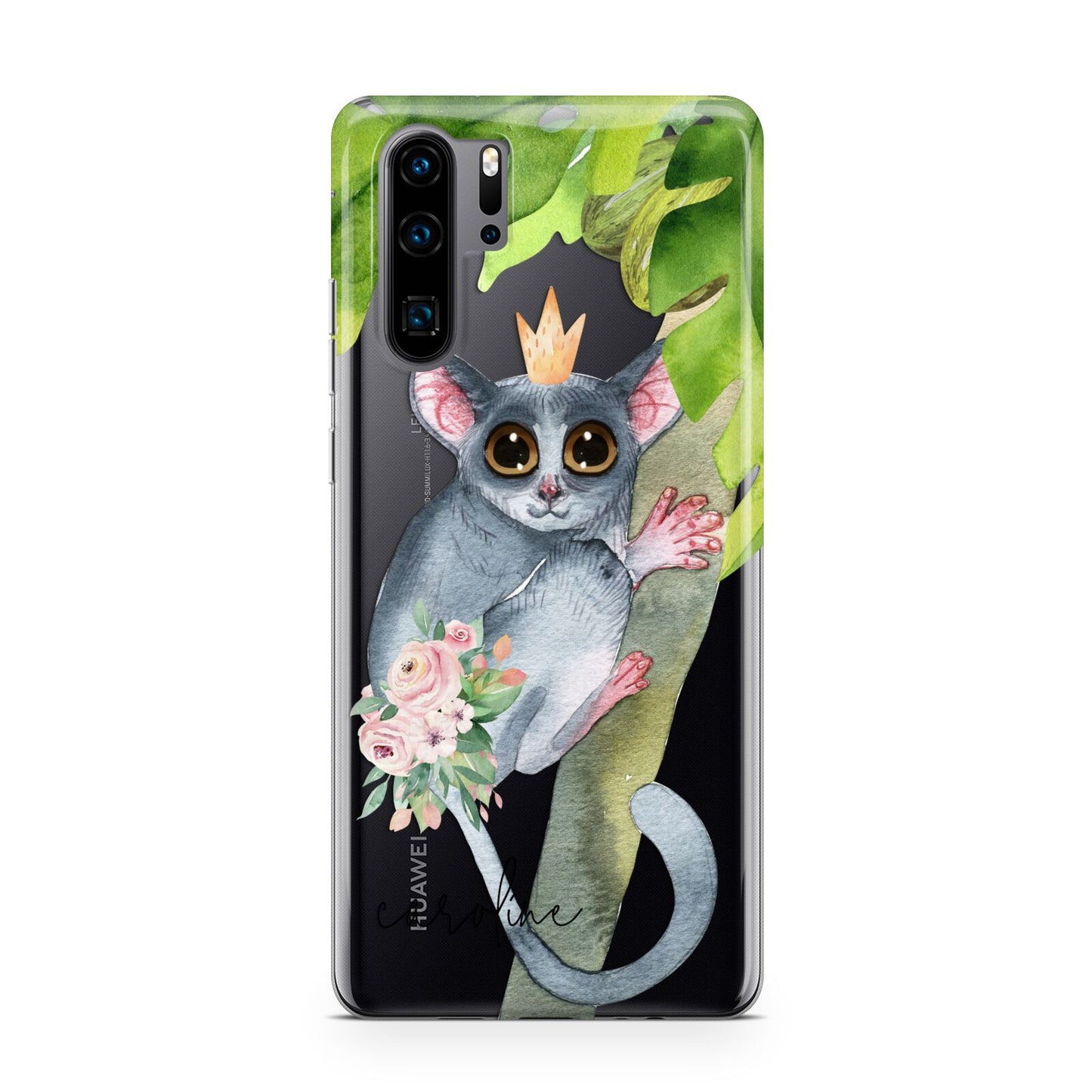 Personalised Galago Huawei P30 Pro Phone Case