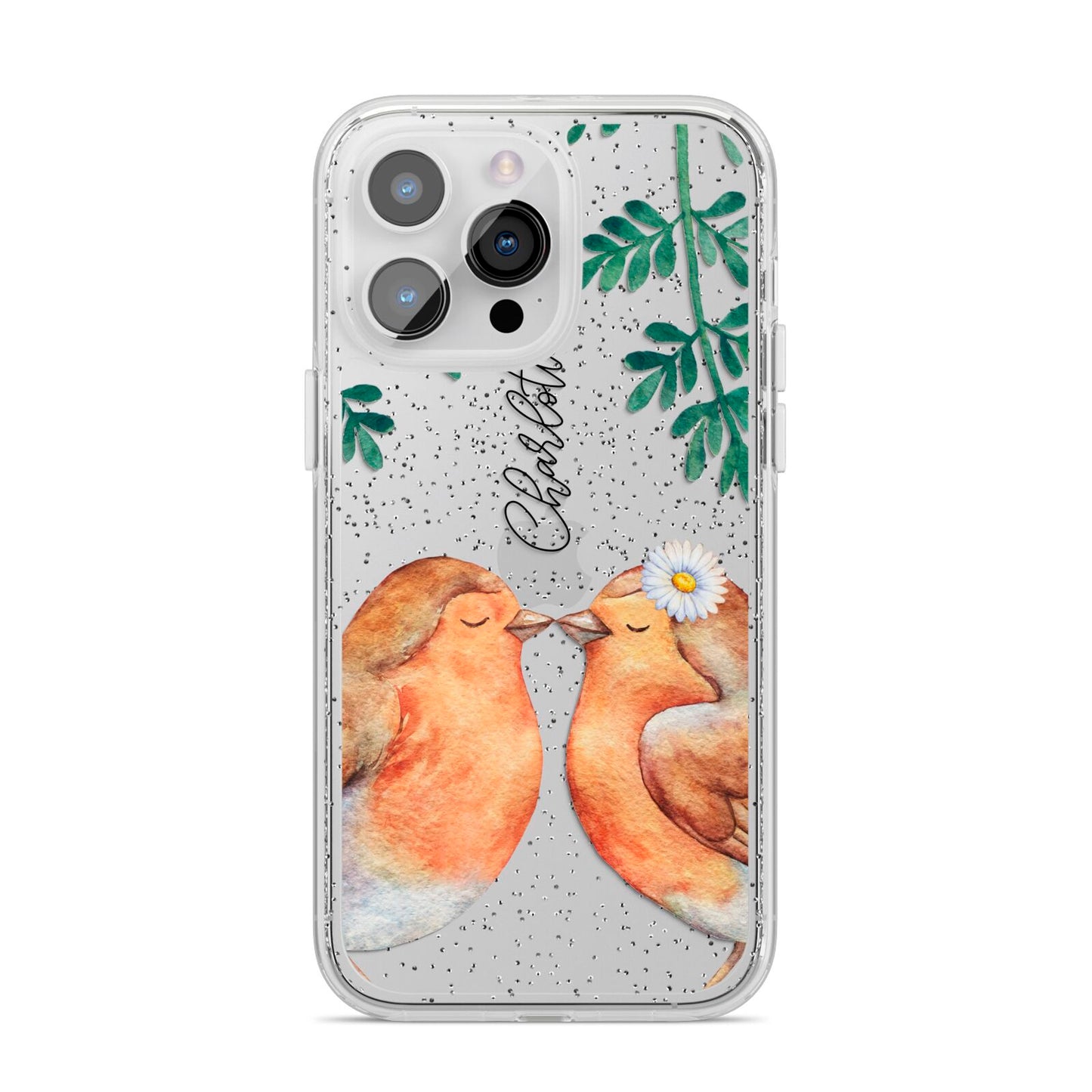 Personalised Pair of Robins iPhone 14 Pro Max Glitter Tough Case Silver