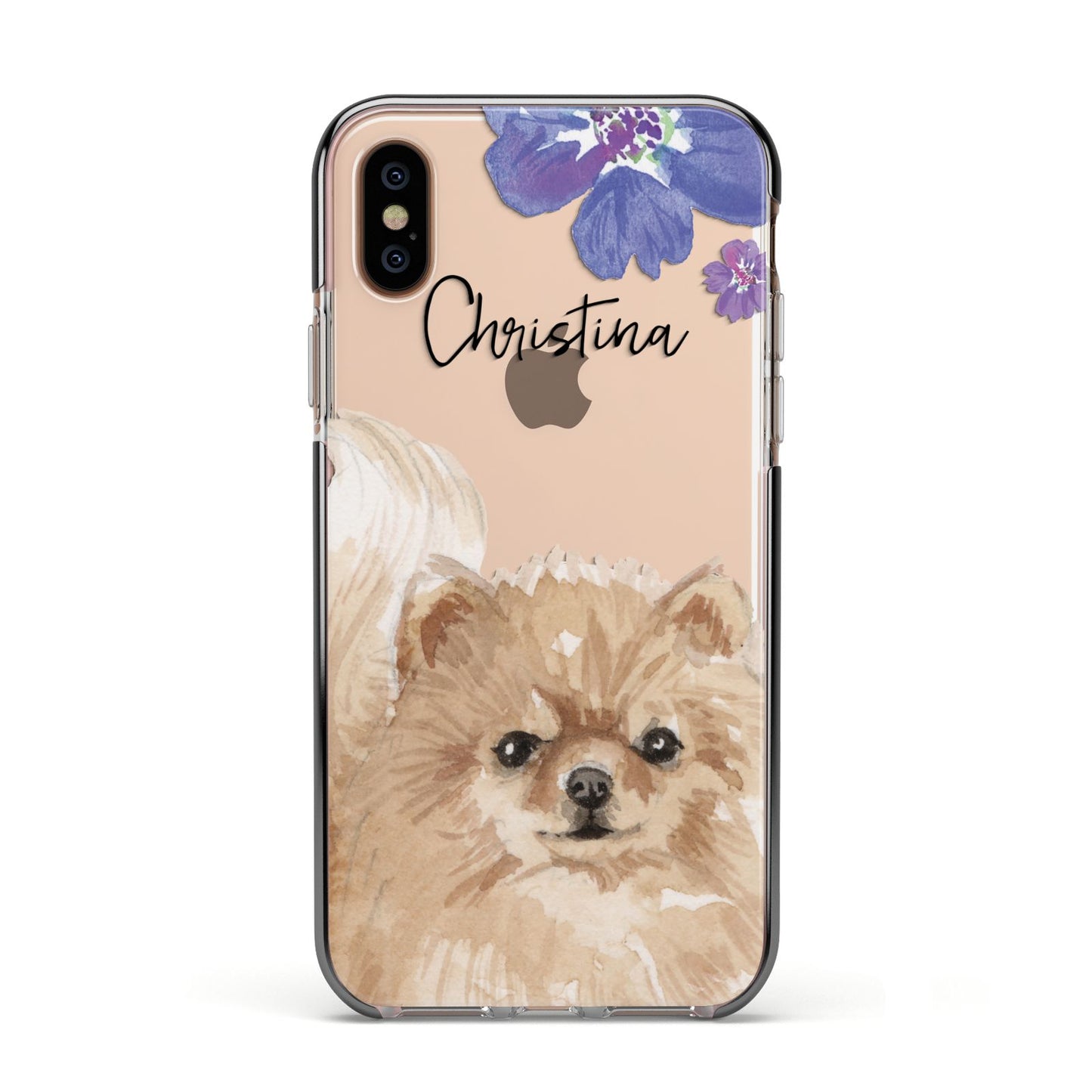 Personalised Pomeranian Apple iPhone Xs Impact Case Black Edge on Gold Phone