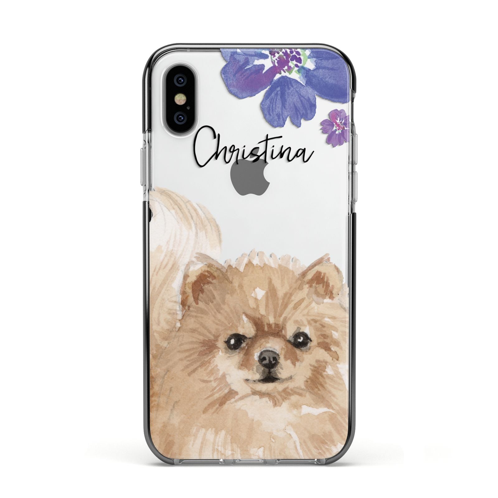 Personalised Pomeranian Apple iPhone Xs Impact Case Black Edge on Silver Phone