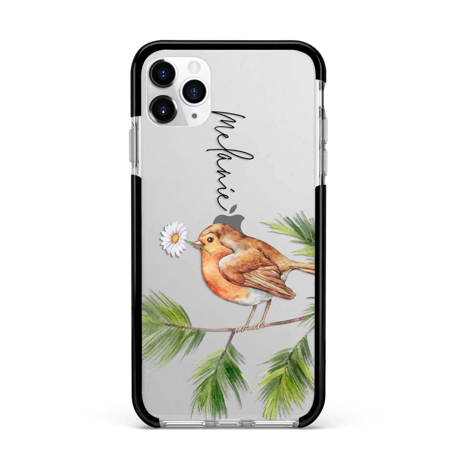 Personalised Robin Apple iPhone 11 Pro Max in Silver with Black Impact Case