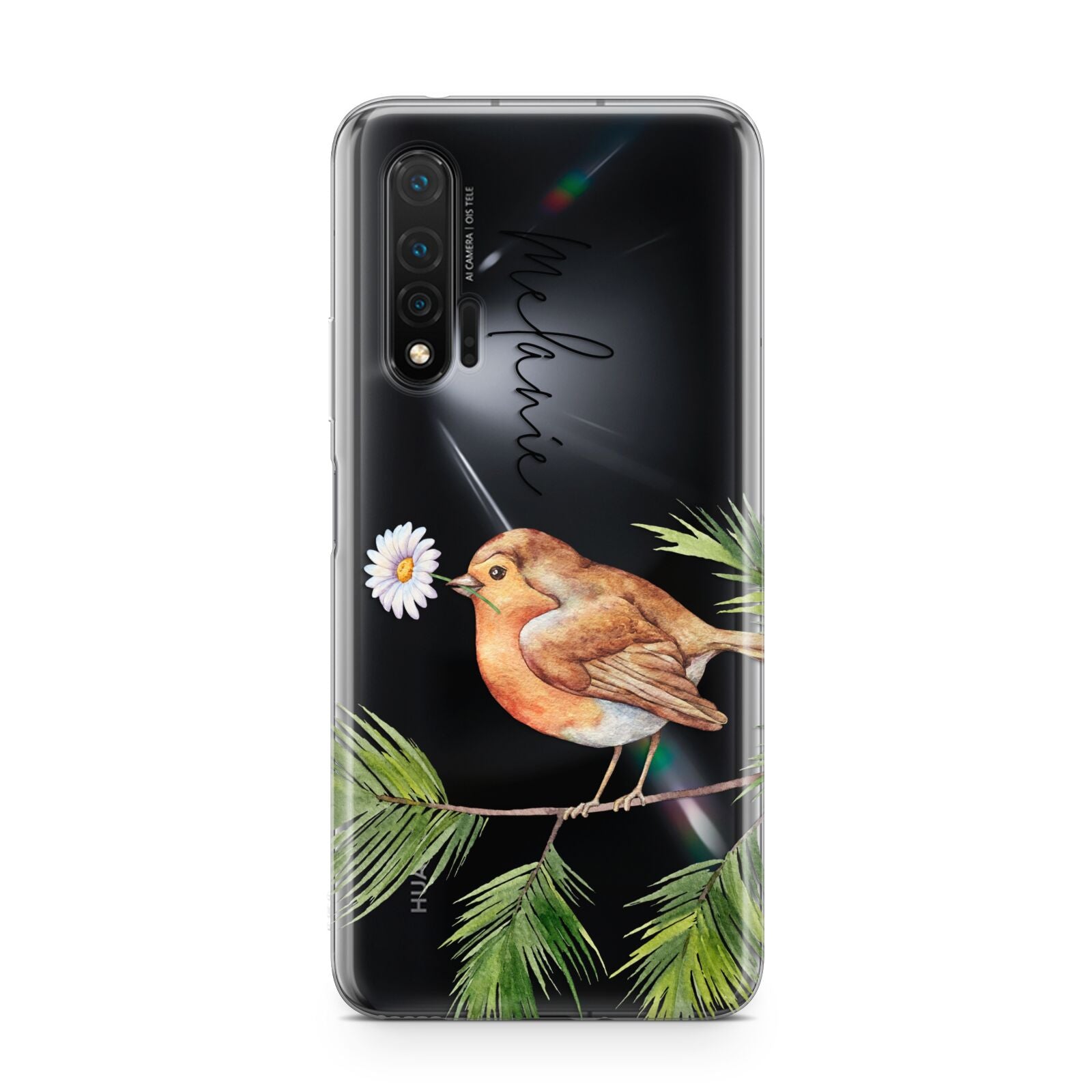 Personalised Robin Huawei Nova 6 Phone Case