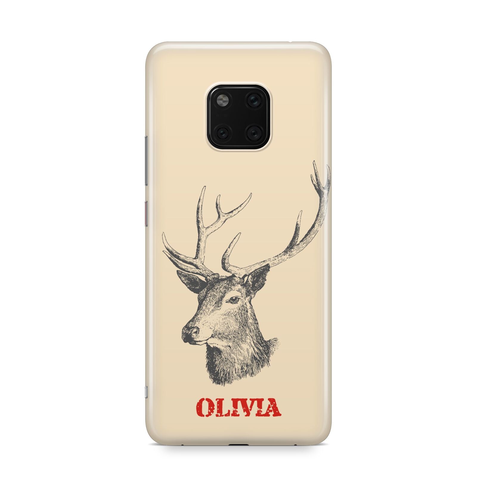 Personalised Rudolph Huawei Mate 20 Pro Phone Case