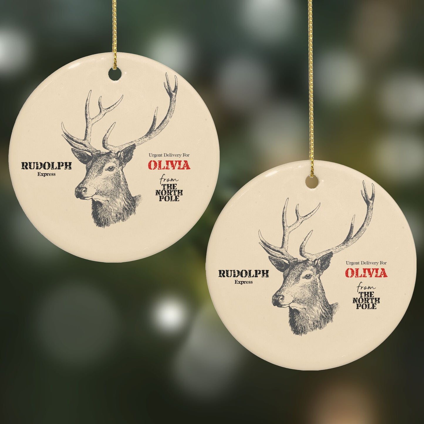 Personalised Rudolph Round Decoration on Christmas Background