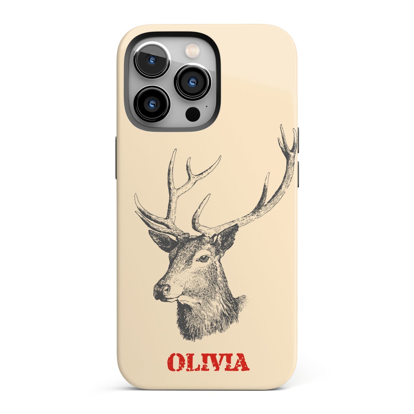 Personalised Rudolph iPhone 13 Pro Full Wrap 3D Tough Case