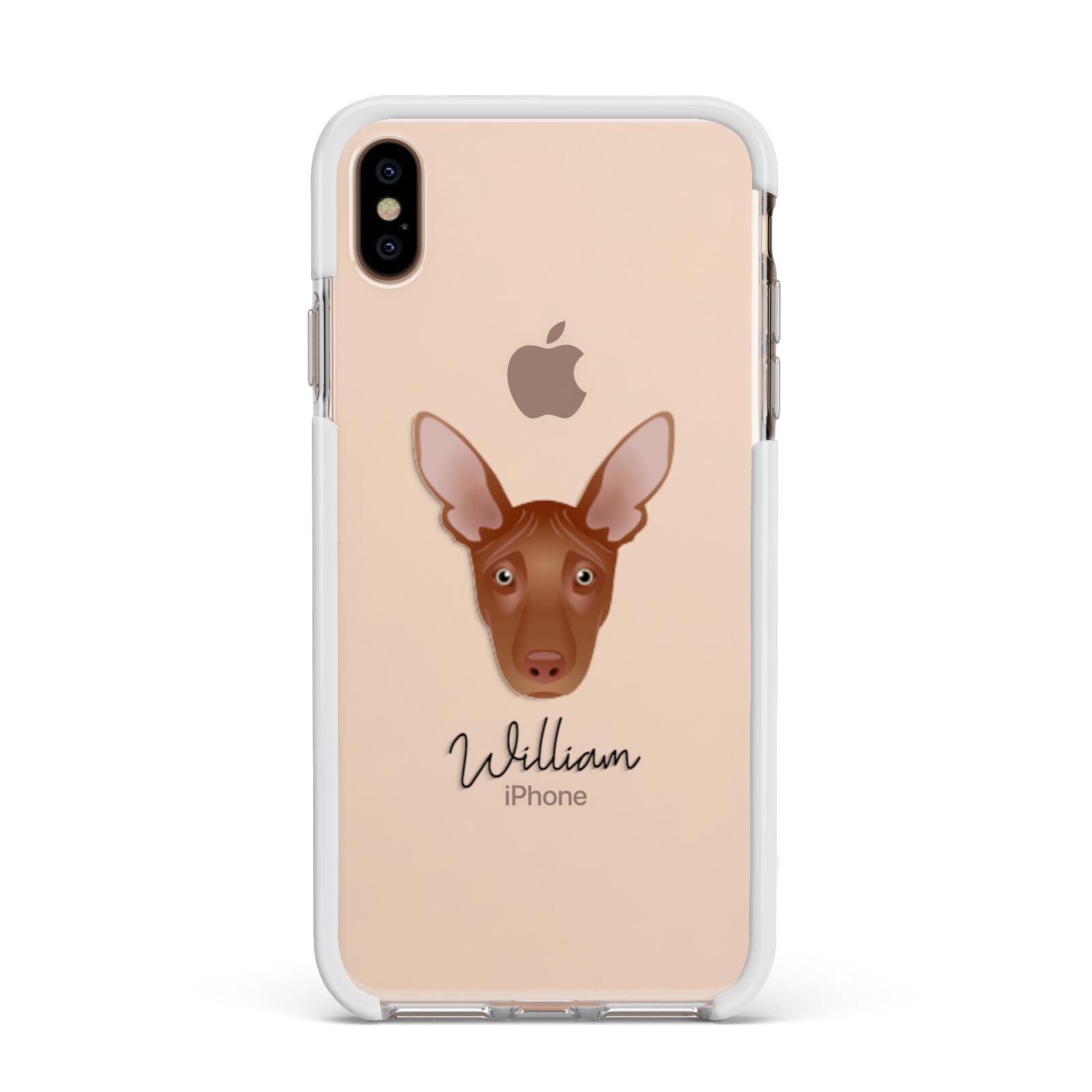 Pharaoh Hound Personalised Apple iPhone Xs Max Impact Case White Edge on Gold Phone