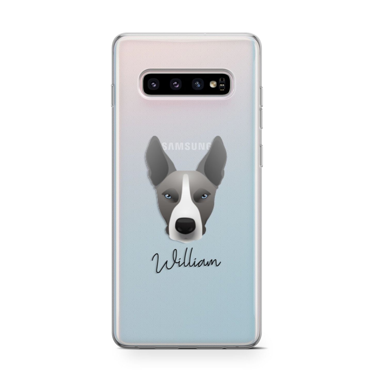 Pitsky Personalised Samsung Galaxy S10 Case