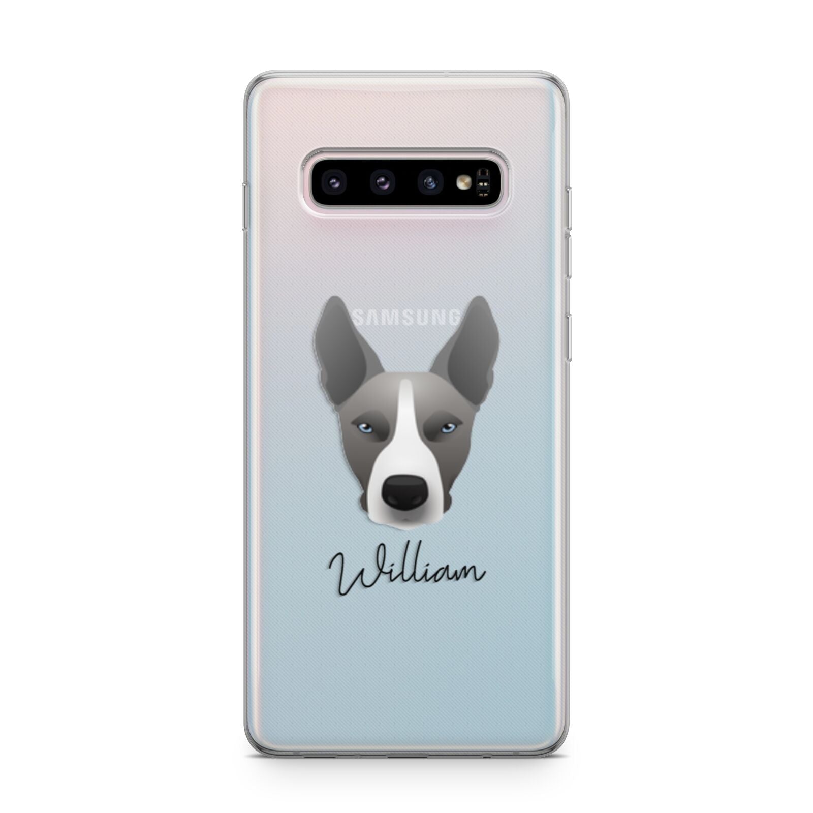 Pitsky Personalised Samsung Galaxy S10 Plus Case