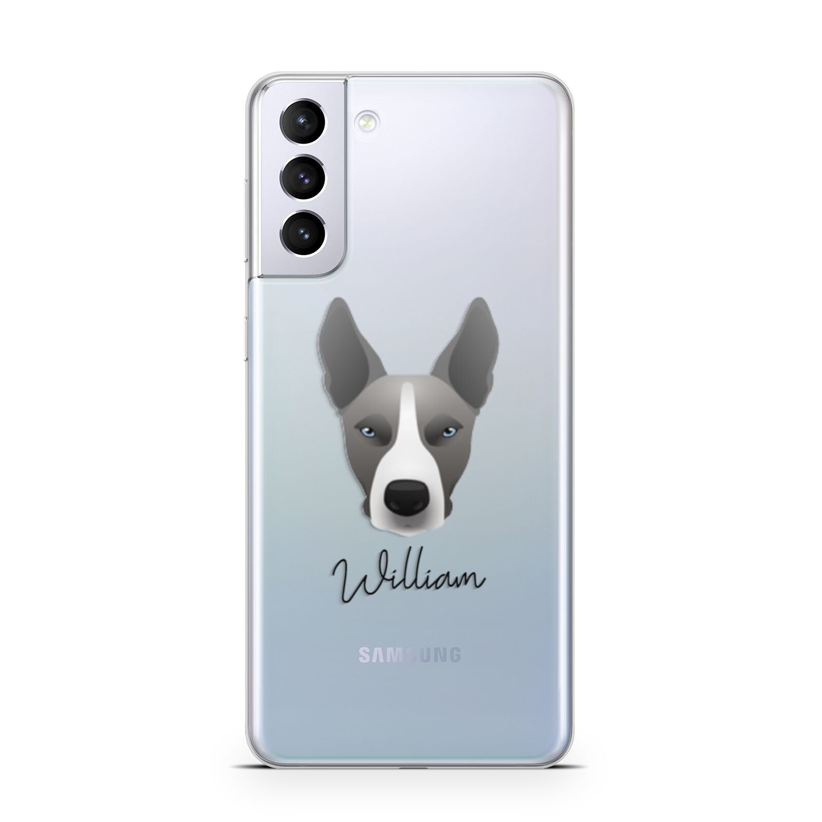 Pitsky Personalised Samsung S21 Plus Phone Case