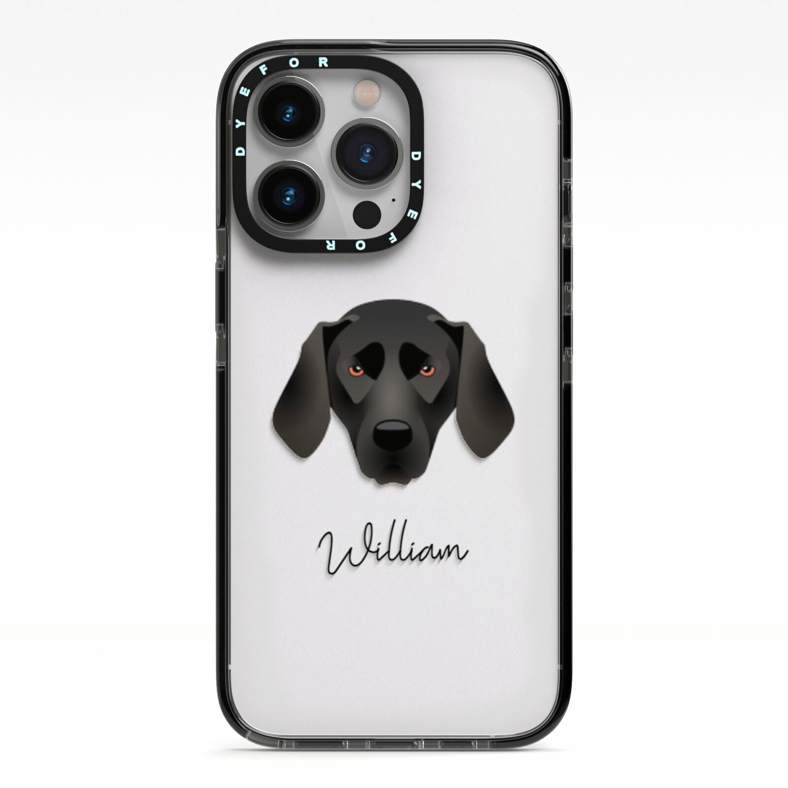 Plott Hound Personalised iPhone 13 Pro Black Impact Case on Silver phone