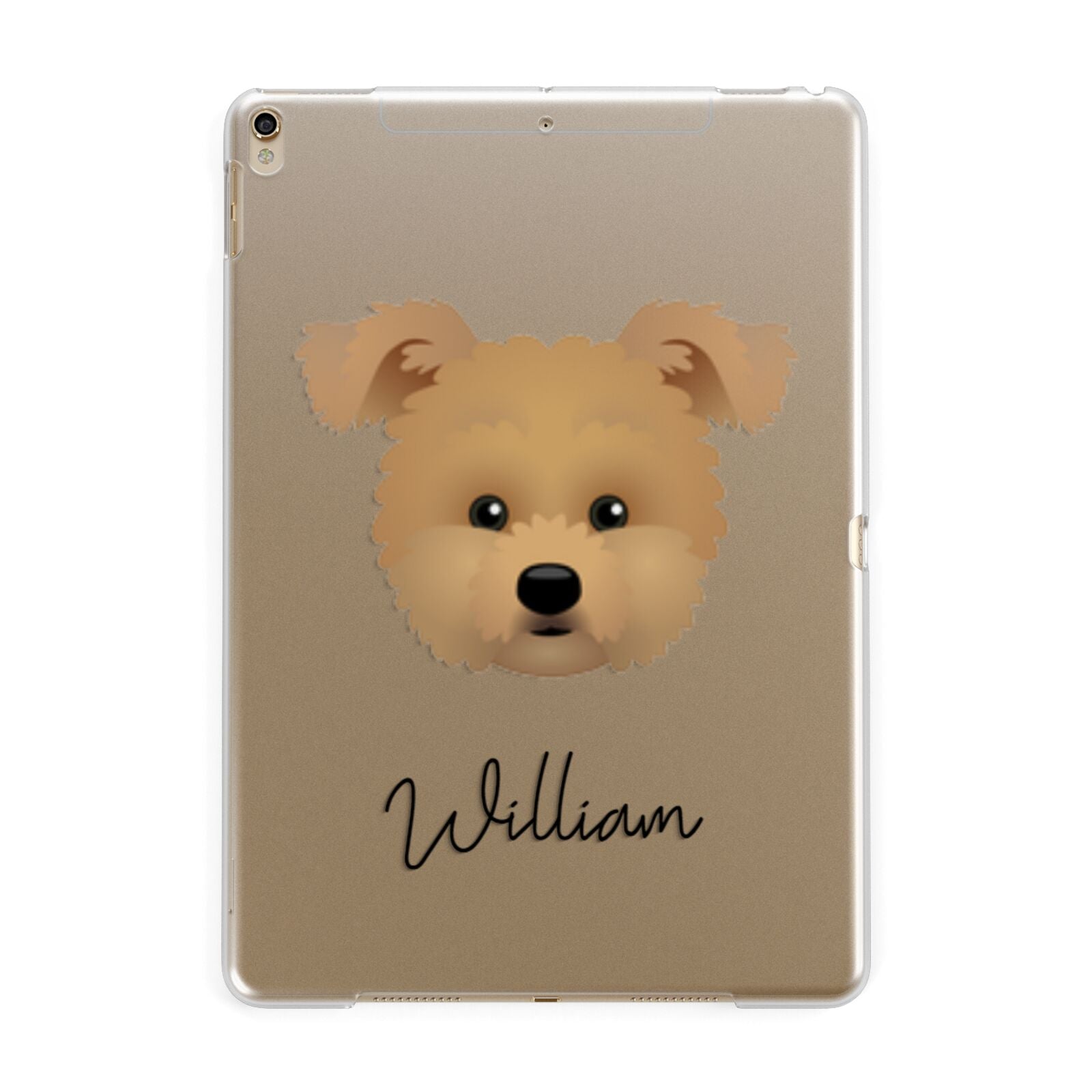 Pomapoo Personalised Apple iPad Gold Case