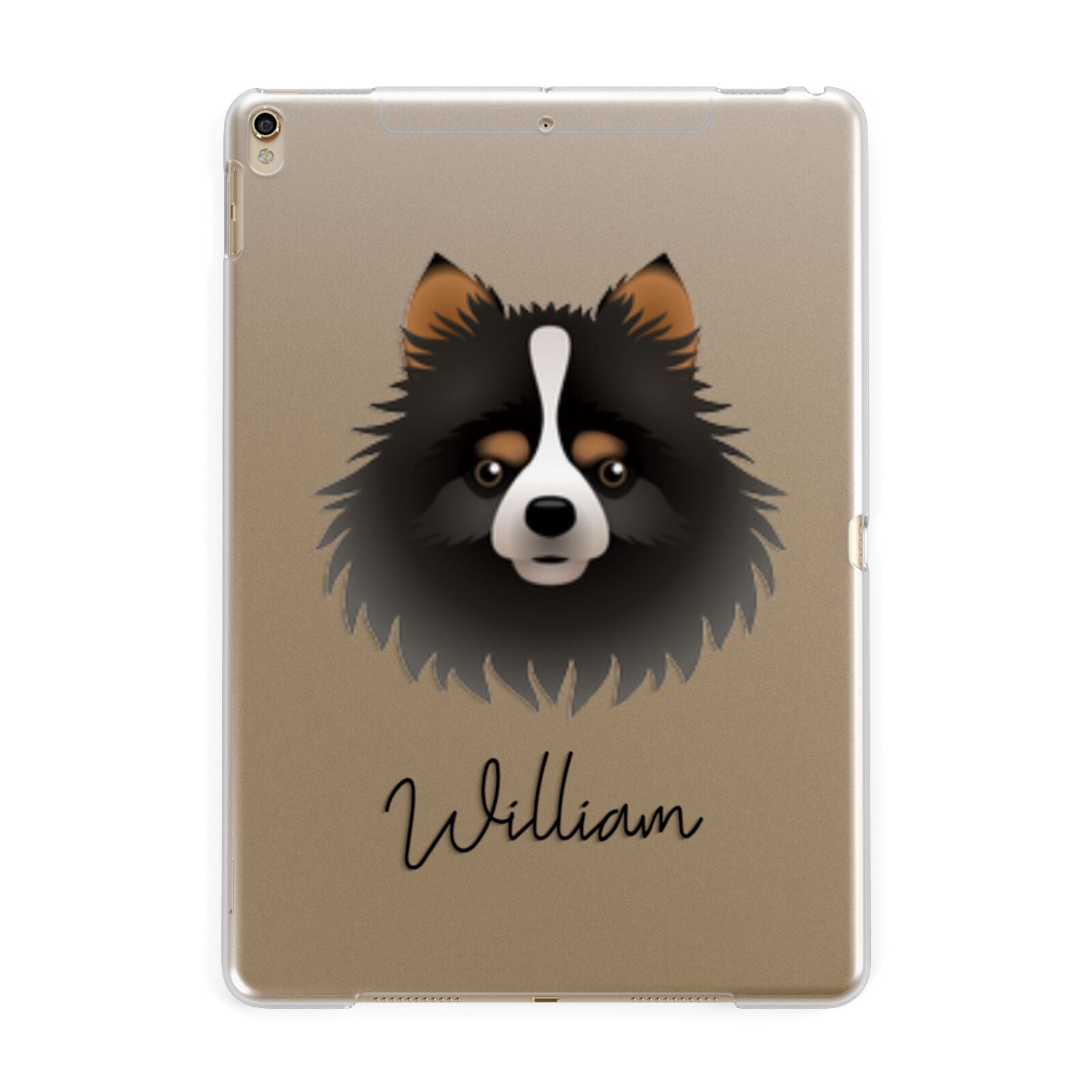 Pomchi Personalised Apple iPad Gold Case