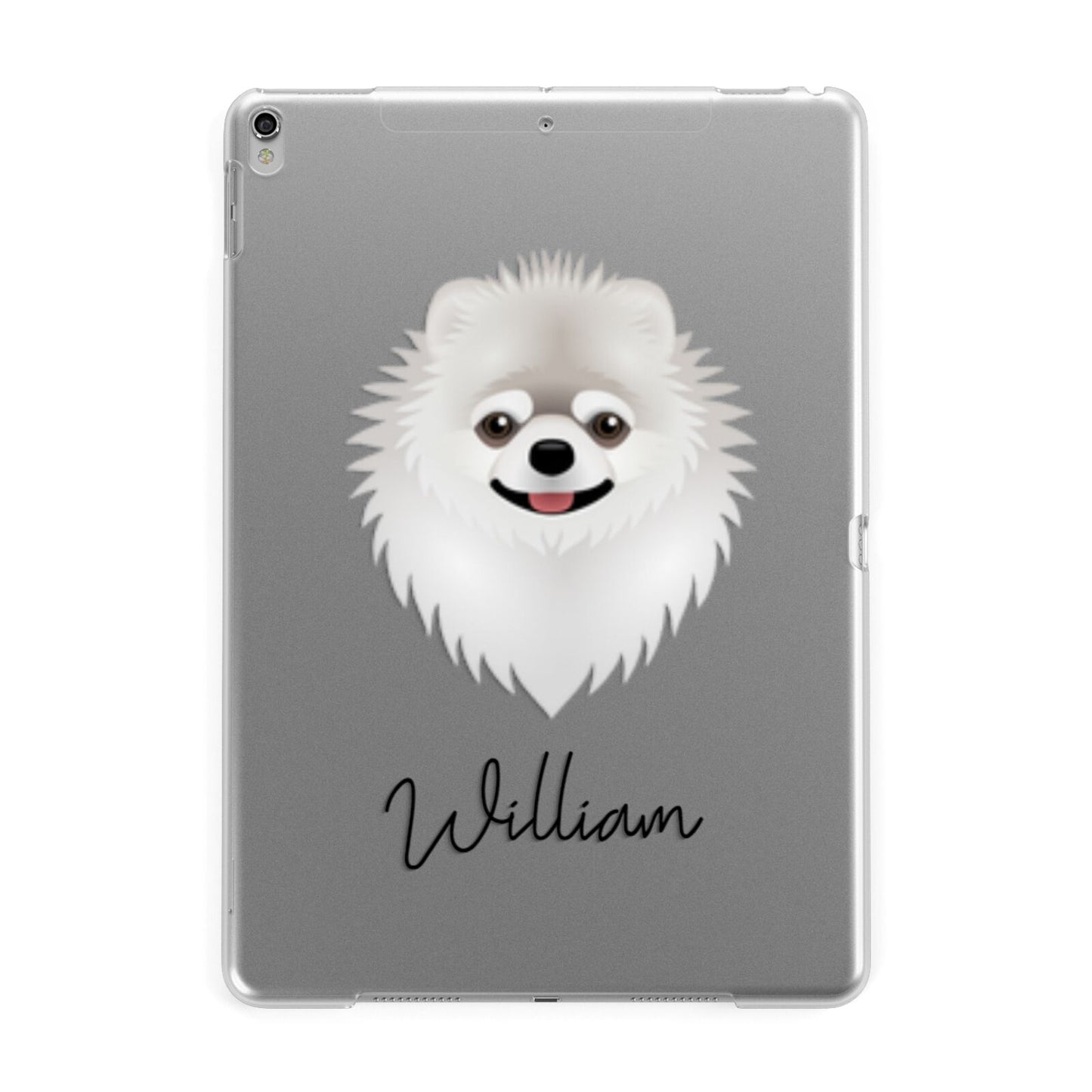 Pomeranian Personalised Apple iPad Silver Case