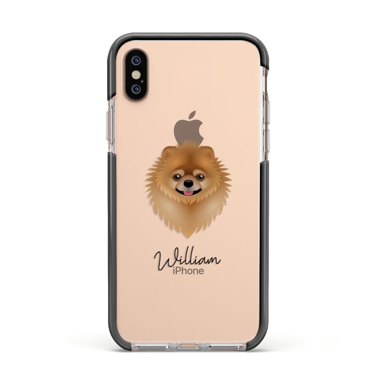 Pomeranian Personalised Apple iPhone Xs Impact Case Black Edge on Gold Phone