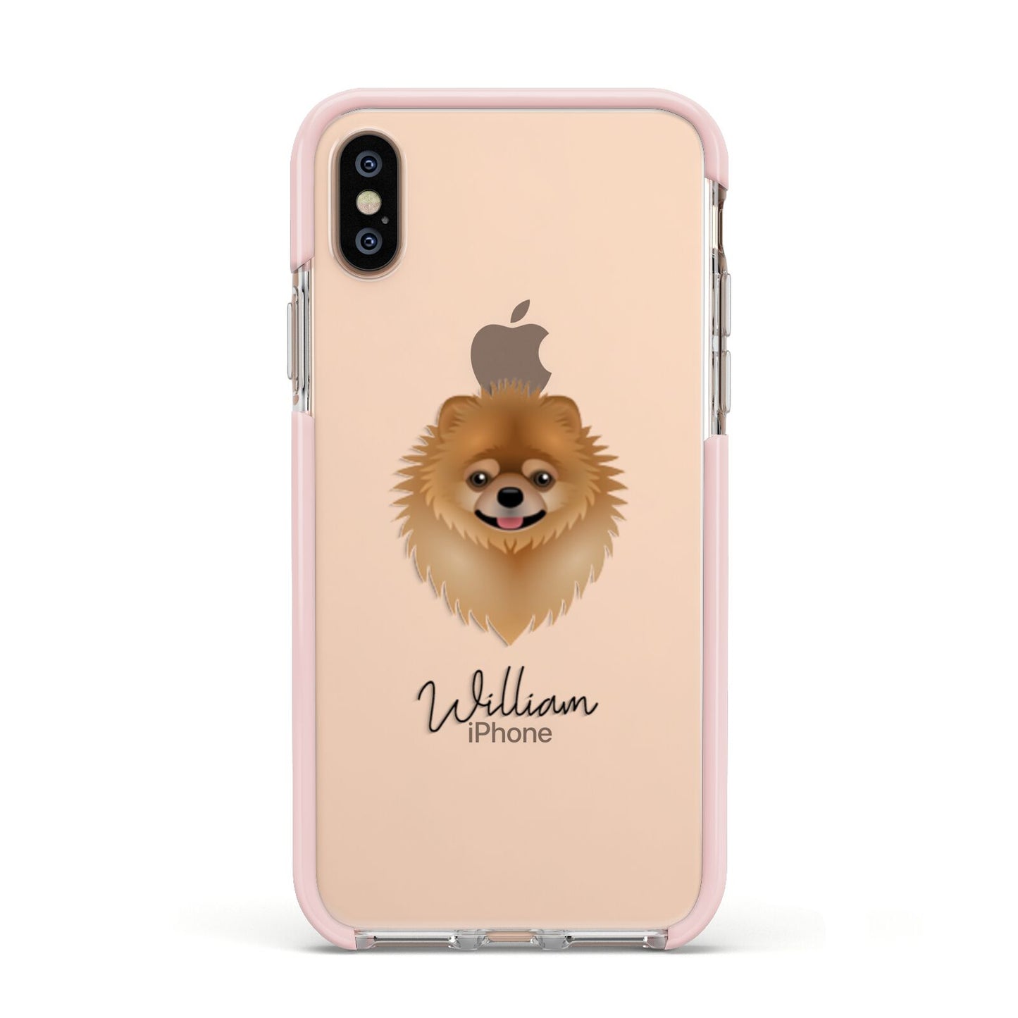 Pomeranian Personalised Apple iPhone Xs Impact Case Pink Edge on Gold Phone