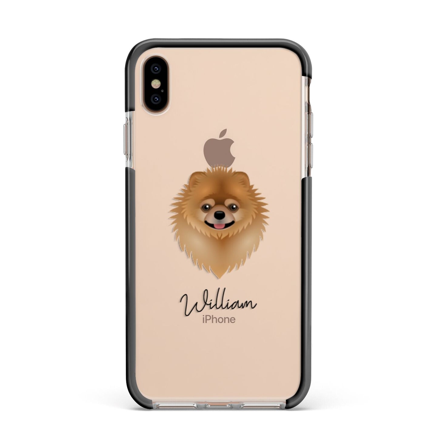 Pomeranian Personalised Apple iPhone Xs Max Impact Case Black Edge on Gold Phone