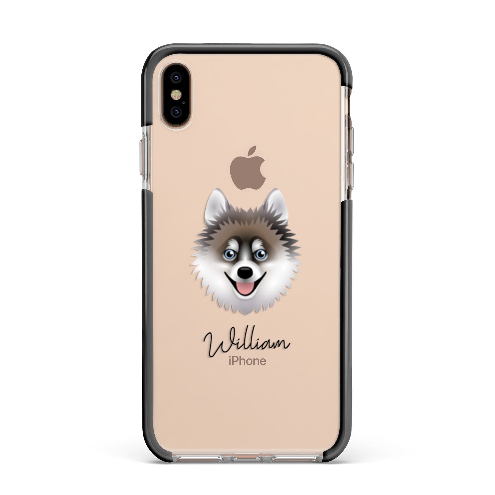 Pomsky Personalised Apple iPhone Xs Max Impact Case Black Edge on Gold Phone