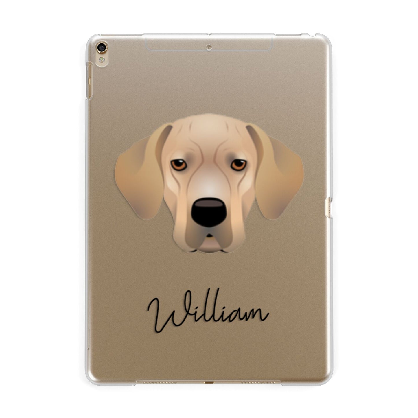 Portuguese Pointer Personalised Apple iPad Gold Case