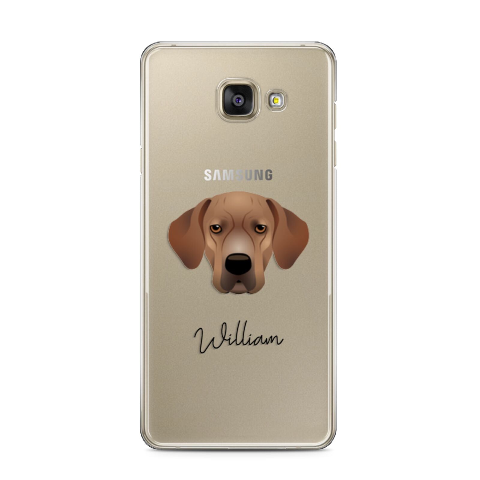 Portuguese Pointer Personalised Samsung Galaxy A3 2016 Case on gold phone