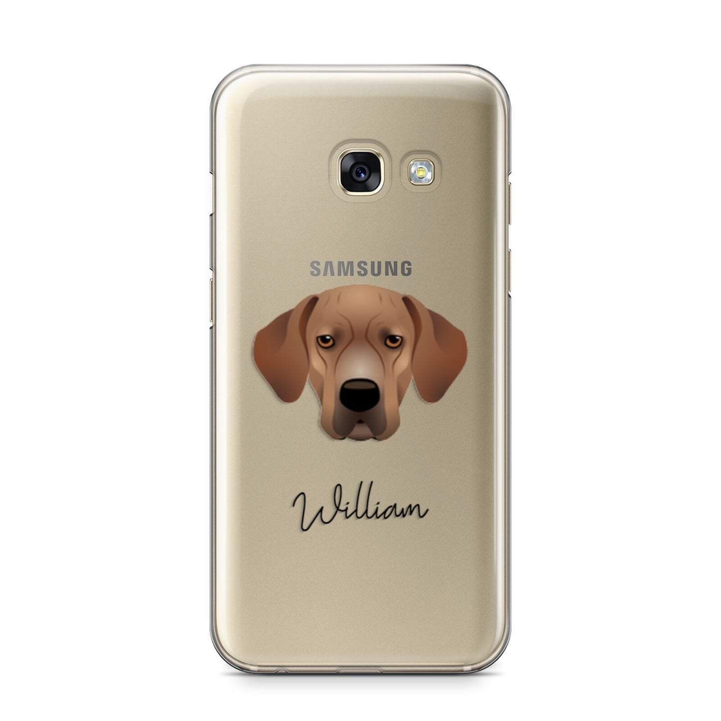 Portuguese Pointer Personalised Samsung Galaxy A3 2017 Case on gold phone