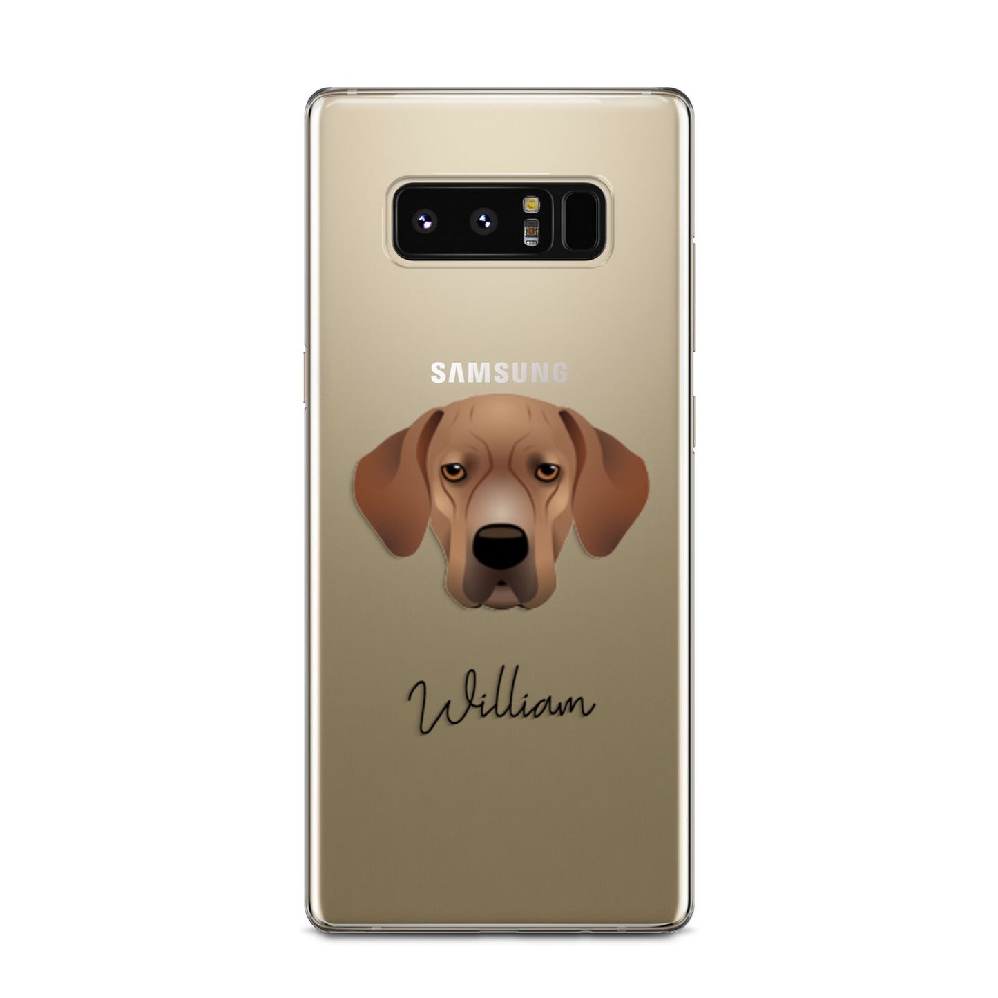 Portuguese Pointer Personalised Samsung Galaxy Note 8 Case