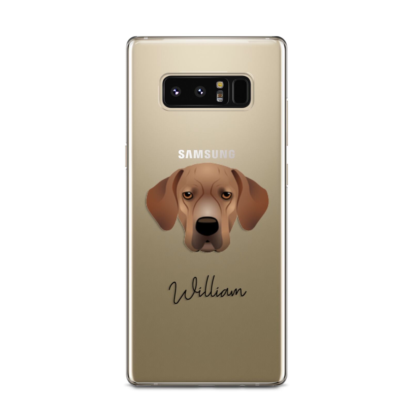 Portuguese Pointer Personalised Samsung Galaxy Note 8 Case