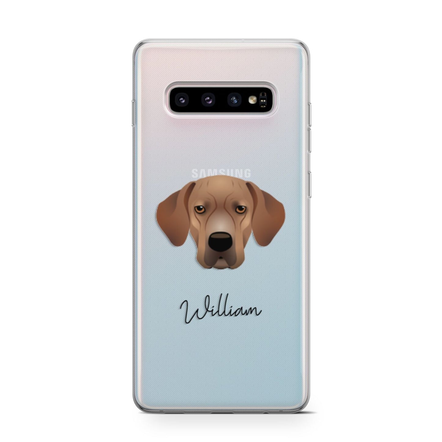 Portuguese Pointer Personalised Samsung Galaxy S10 Case