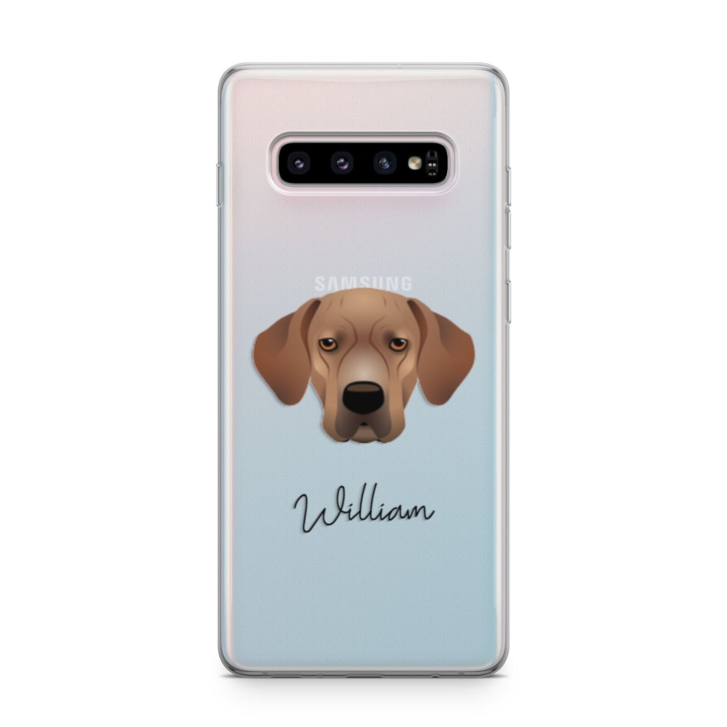 Portuguese Pointer Personalised Samsung Galaxy S10 Plus Case