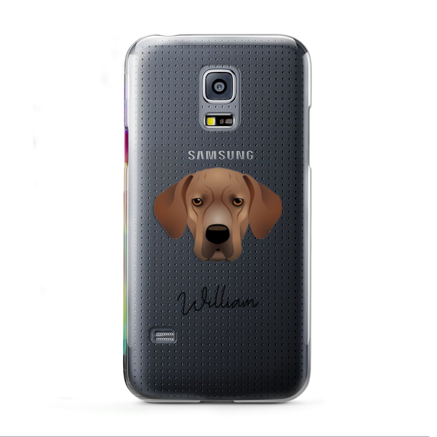 Portuguese Pointer Personalised Samsung Galaxy S5 Mini Case