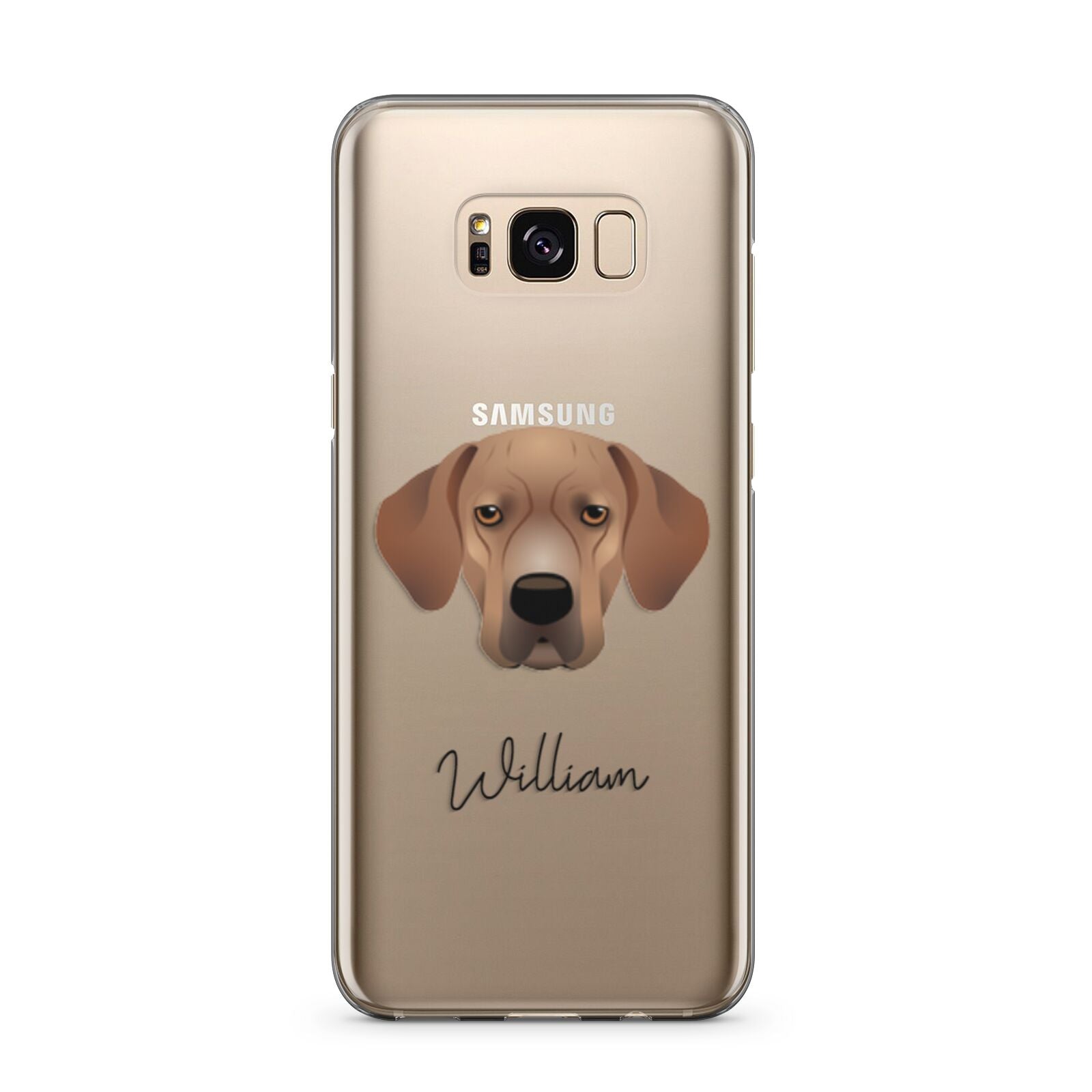 Portuguese Pointer Personalised Samsung Galaxy S8 Plus Case
