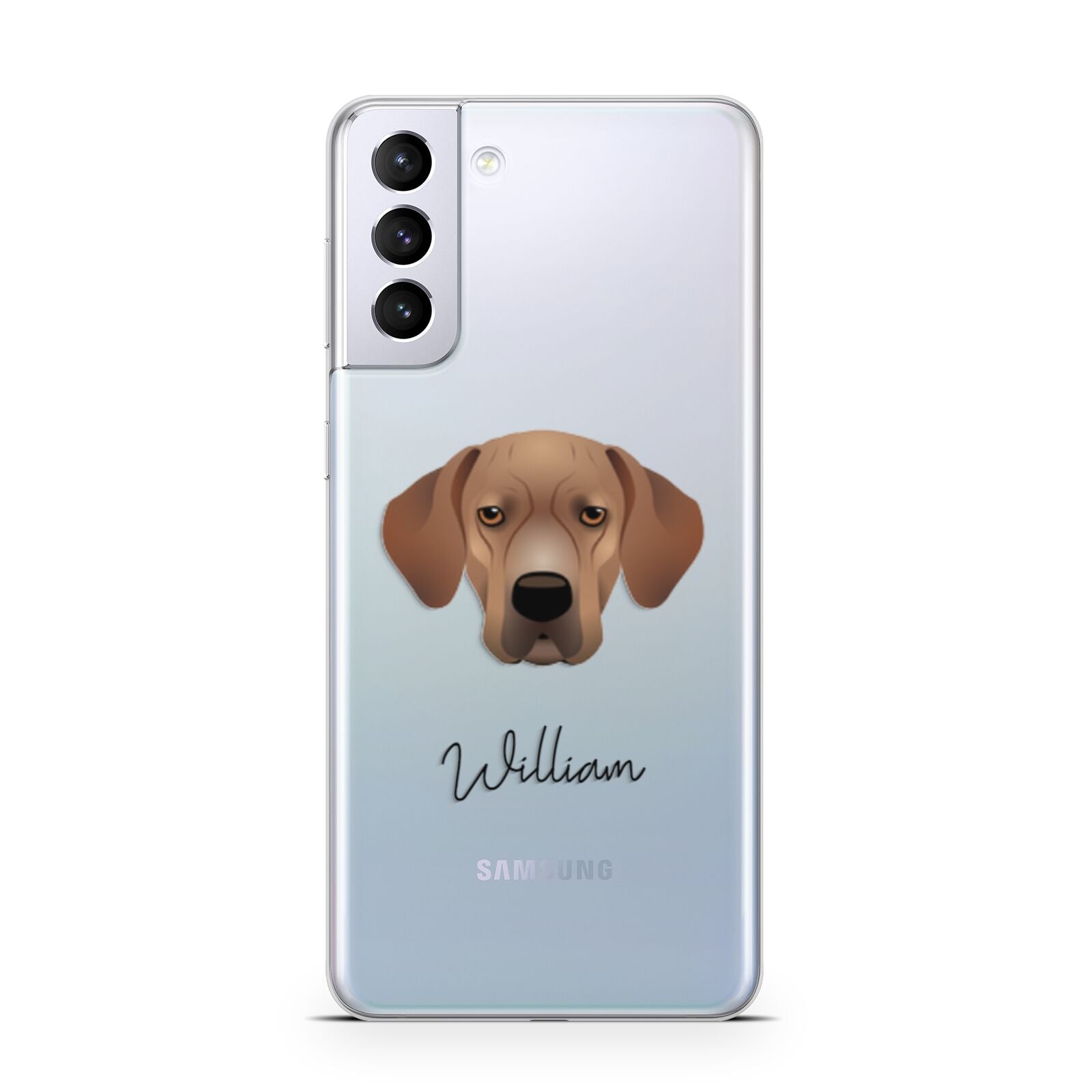 Portuguese Pointer Personalised Samsung S21 Plus Phone Case