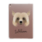 Powderpuff Chinese Crested Personalised Apple iPad Rose Gold Case