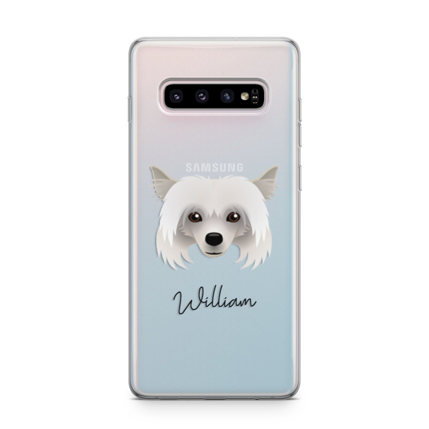 Powderpuff Chinese Crested Personalised Samsung Galaxy S10 Plus Case