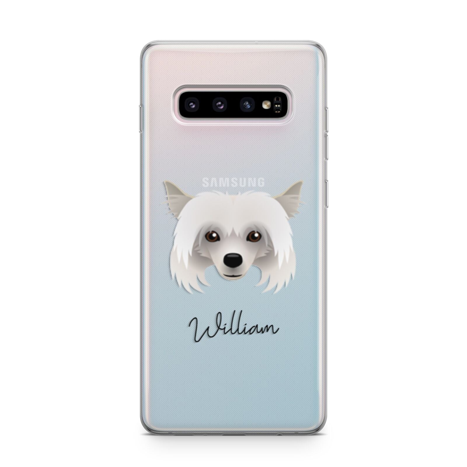 Powderpuff Chinese Crested Personalised Samsung Galaxy S10 Plus Case