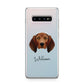 Redbone Coonhound Personalised Samsung Galaxy S10 Plus Case