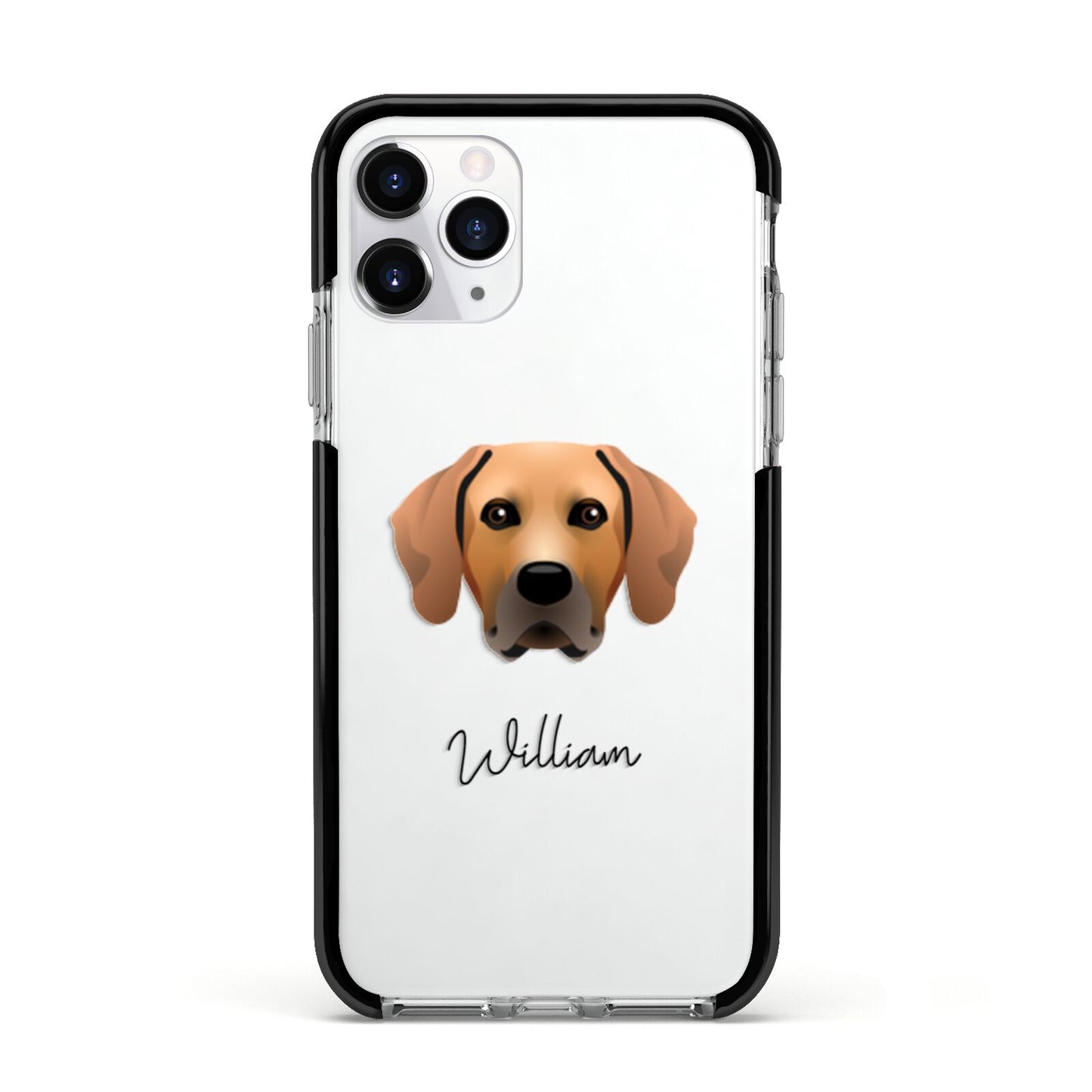 Rhodesian Ridgeback Personalised Apple iPhone 11 Pro in Silver with Black Impact Case