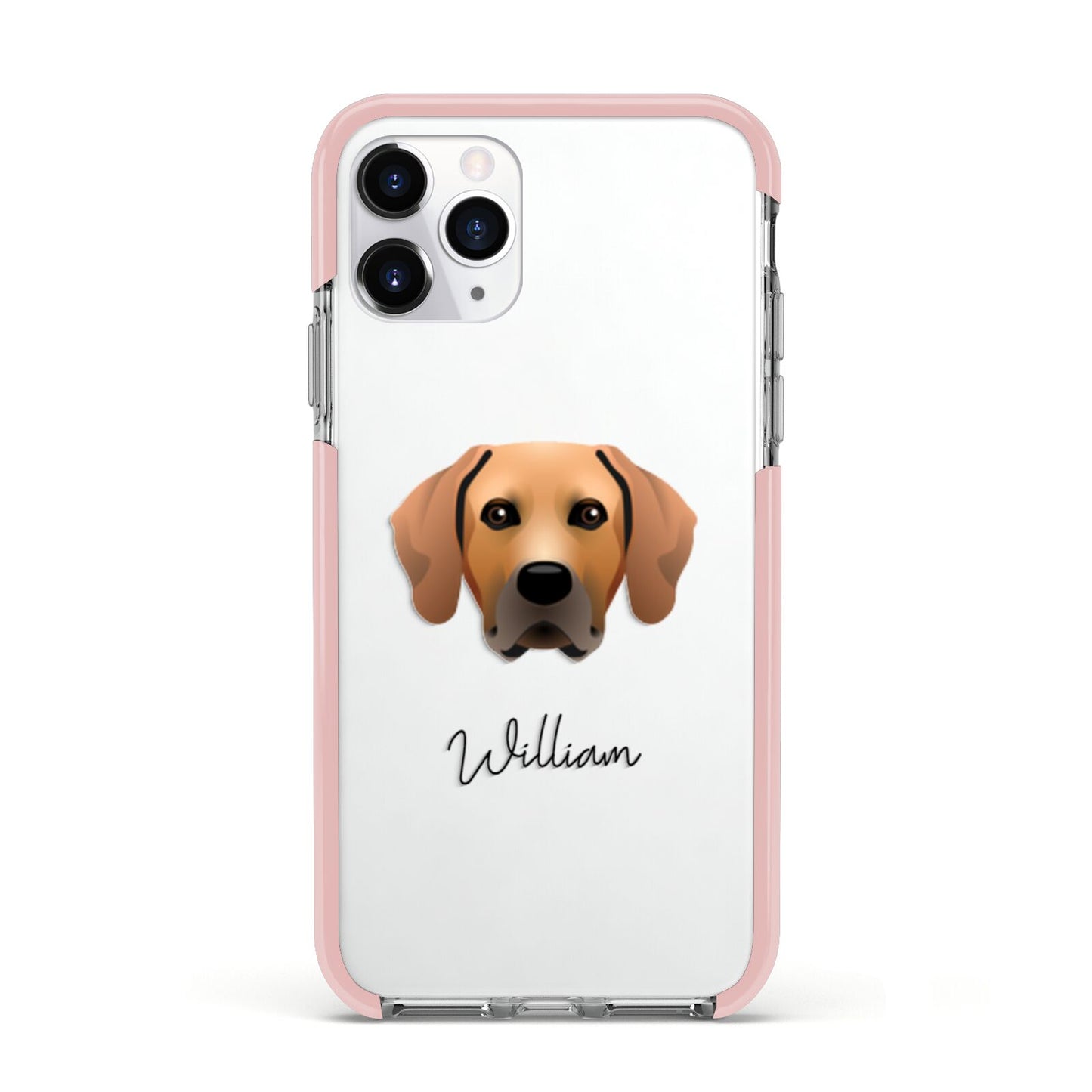 Rhodesian Ridgeback Personalised Apple iPhone 11 Pro in Silver with Pink Impact Case