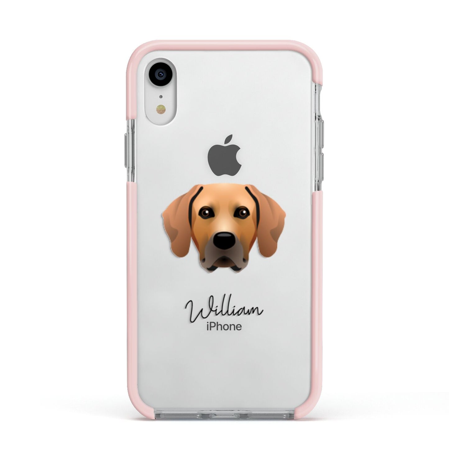 Rhodesian Ridgeback Personalised Apple iPhone XR Impact Case Pink Edge on Silver Phone